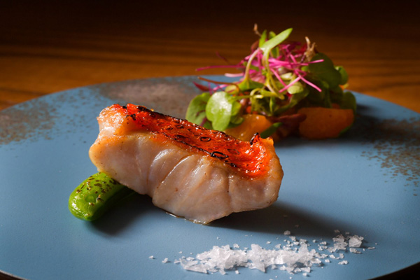 お顔合わせプラン